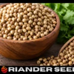 Coriander seeds benefits and uses